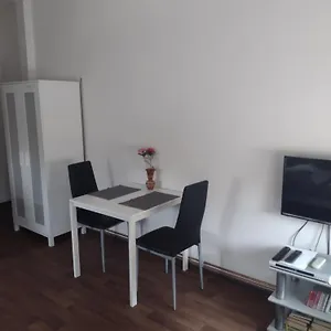 Borska Апартаменты Карловы Вары